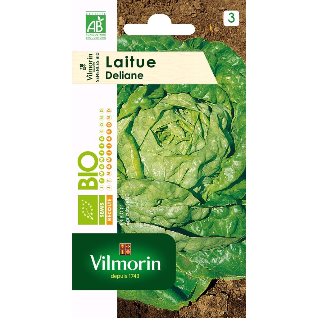 Kopfsalat Deliane Bio - Vilmorin
