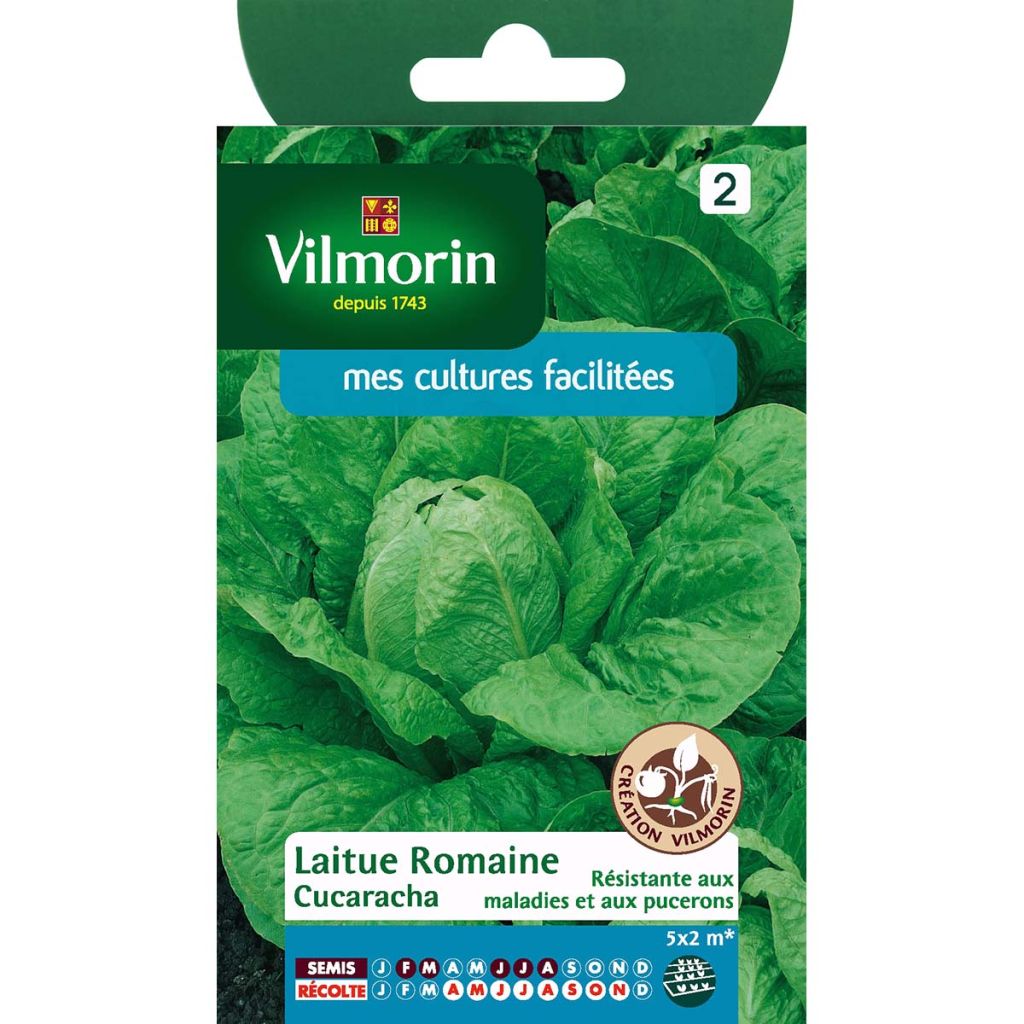 Römersalat Cucaracha - Vilmorin