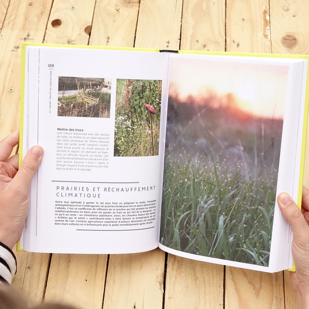 Le grand traité du jardin punk