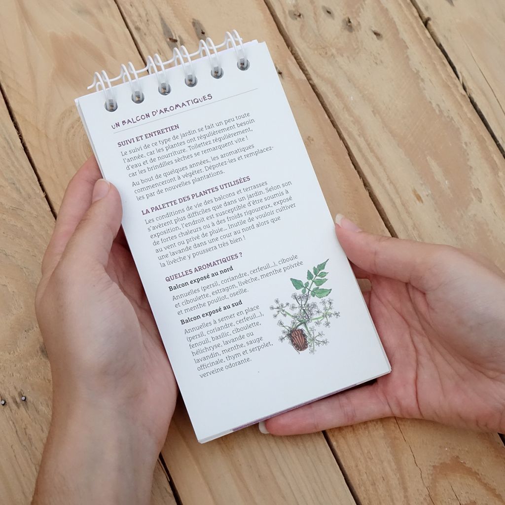 Les antisèches de Terre vivante : Aromatiques