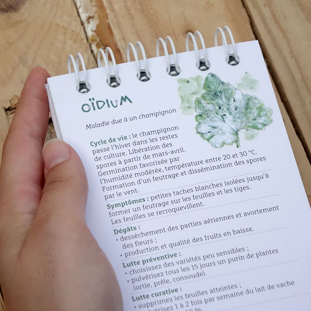 Les antisèches de Terre vivante : Ravageurs & maladies