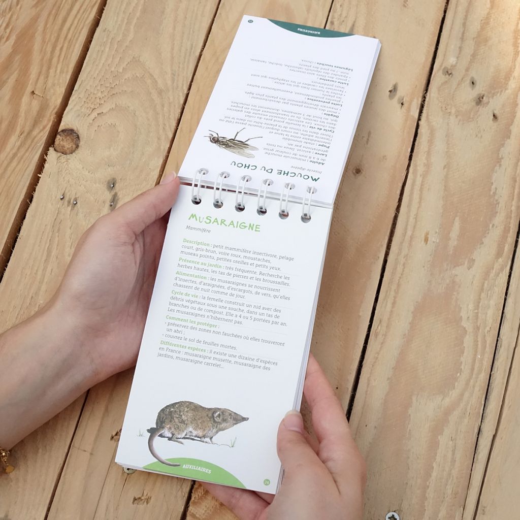 Les antisèches de Terre vivante : Ravageurs & maladies