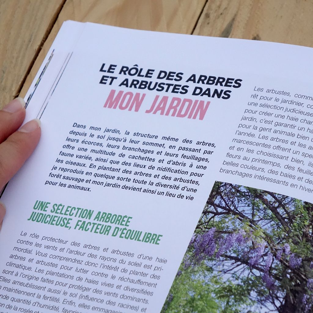 Ma haie, refuge de biodiversité