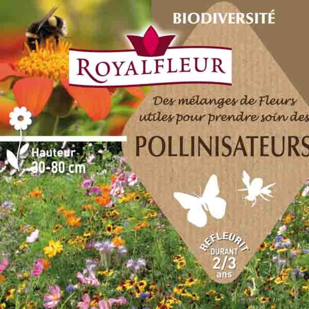 Pollinator-Anziehungsmischung - 8 m² Box