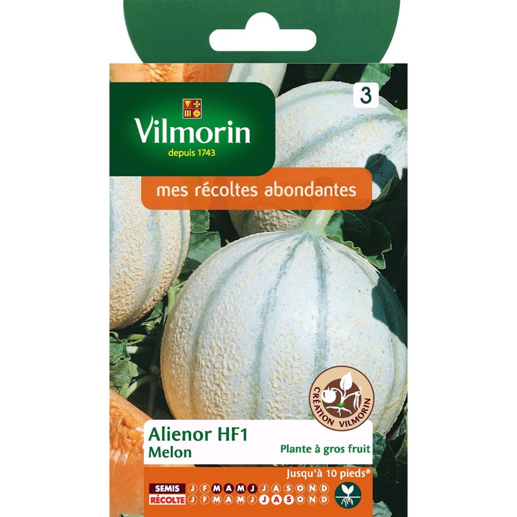Melone Alienor - Vilmorin