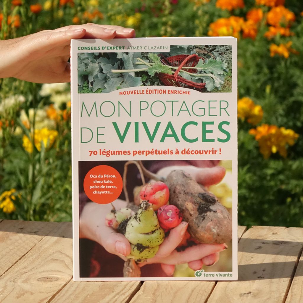 Mon potager de vivaces - Nouvelle édition enrichie