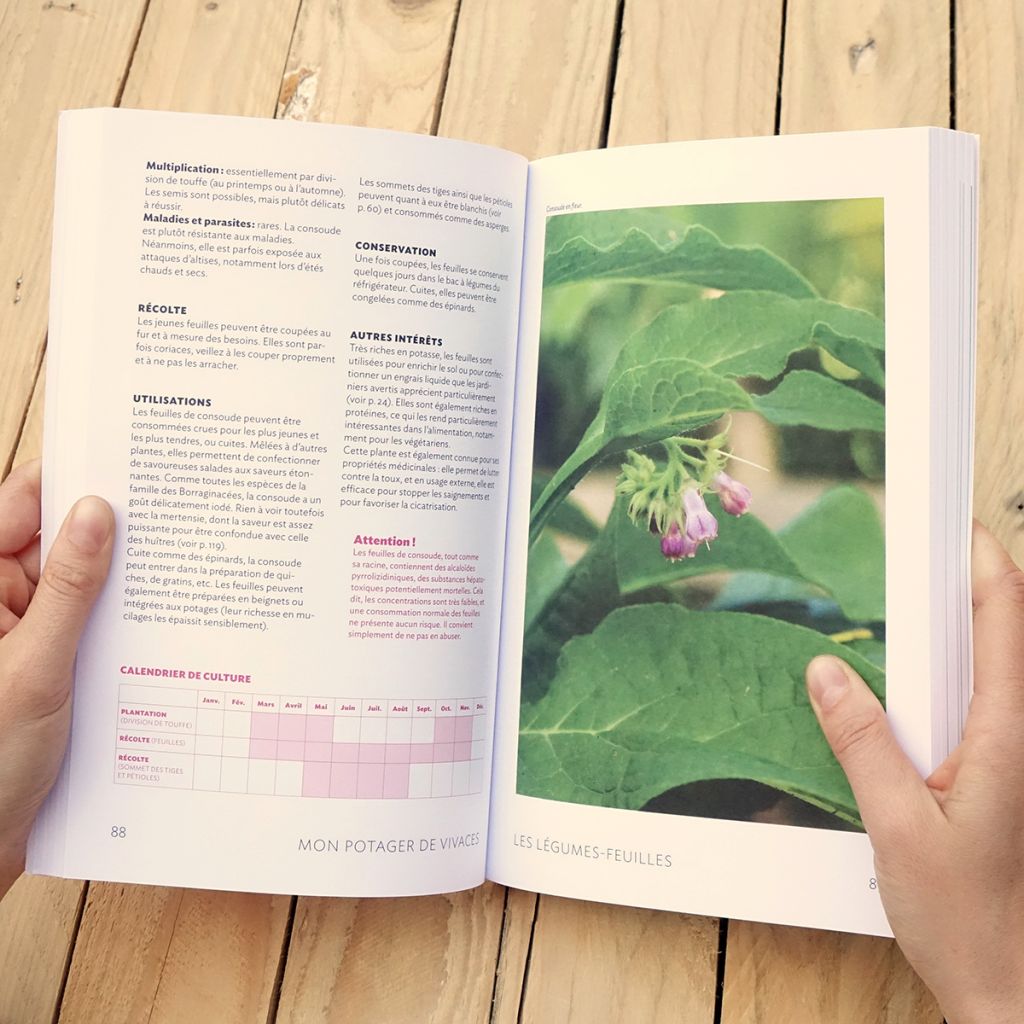 Mon potager de vivaces - Nouvelle édition enrichie