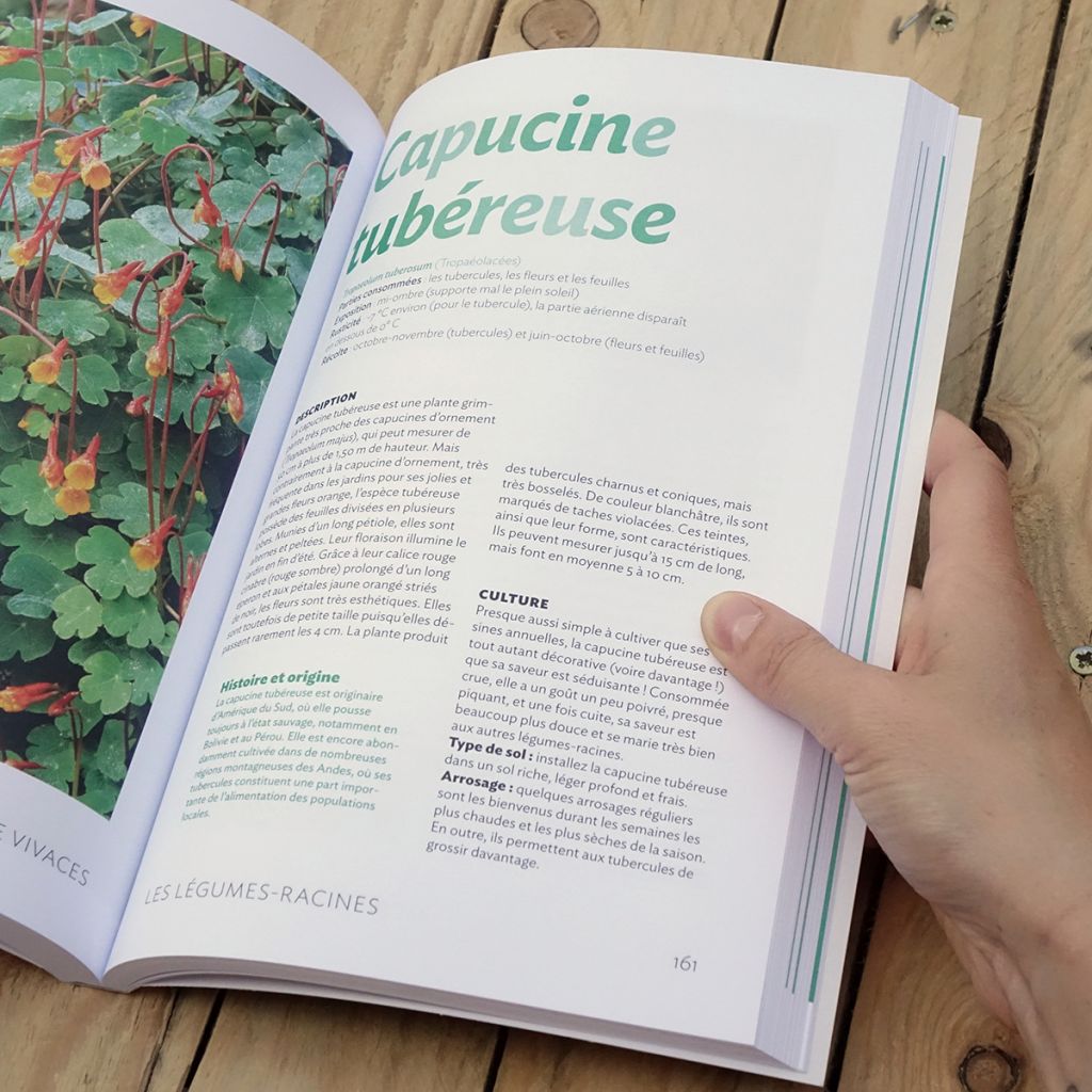 Mon potager de vivaces - Nouvelle édition enrichie