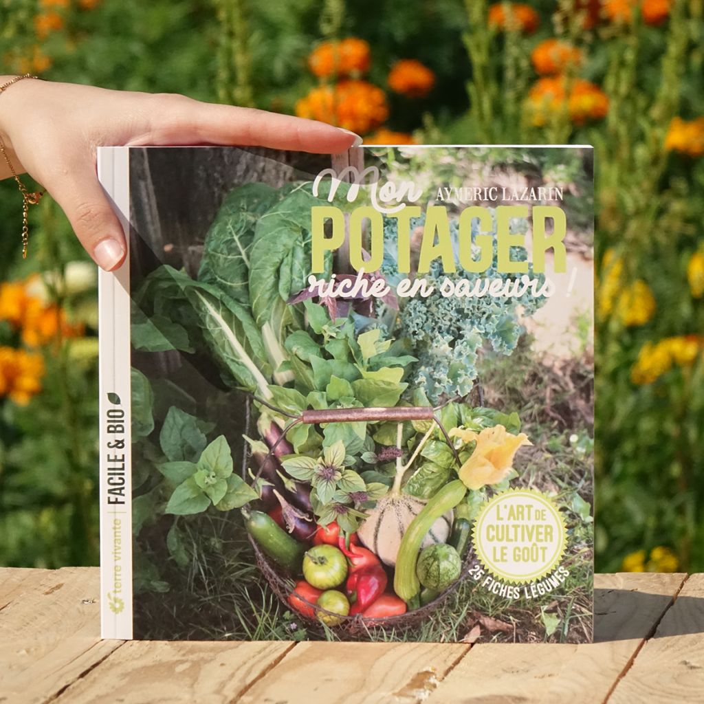 Mon potager riche en saveurs