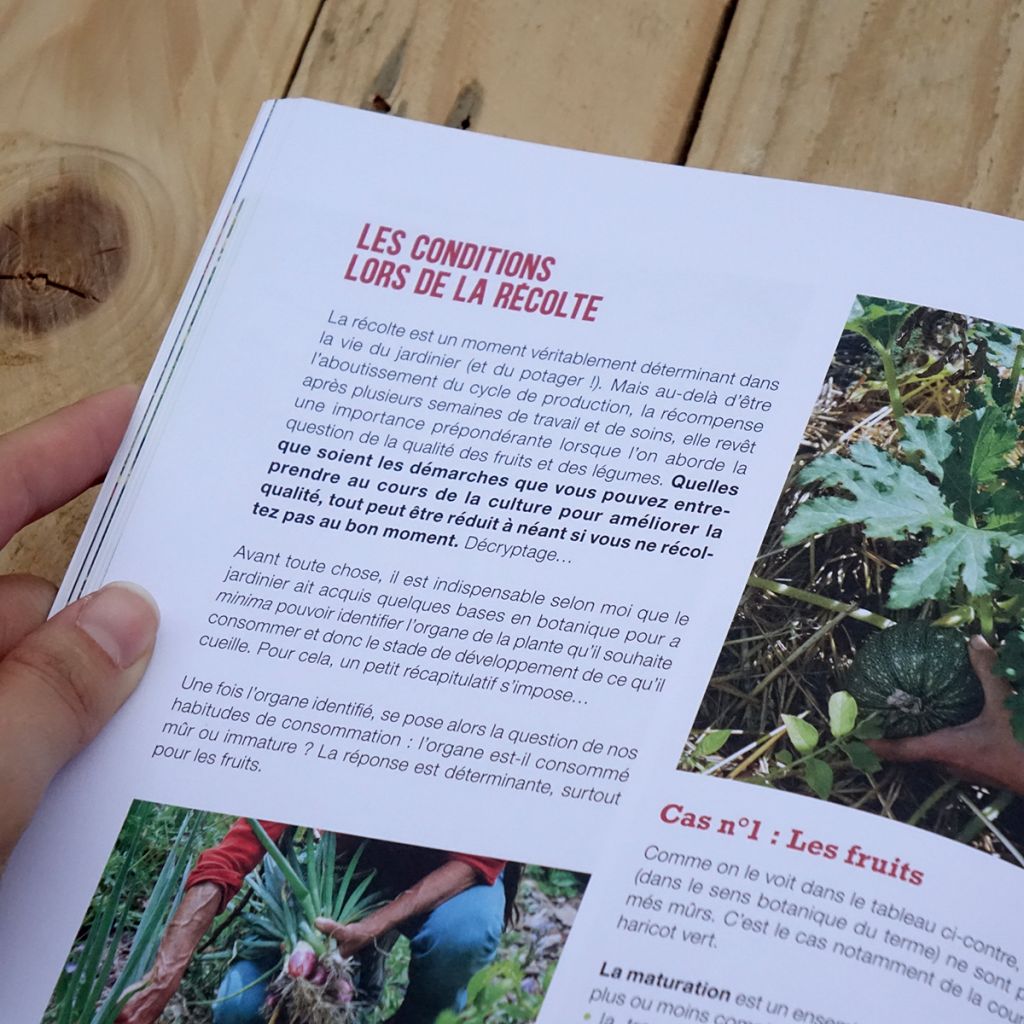 Mon potager riche en saveurs