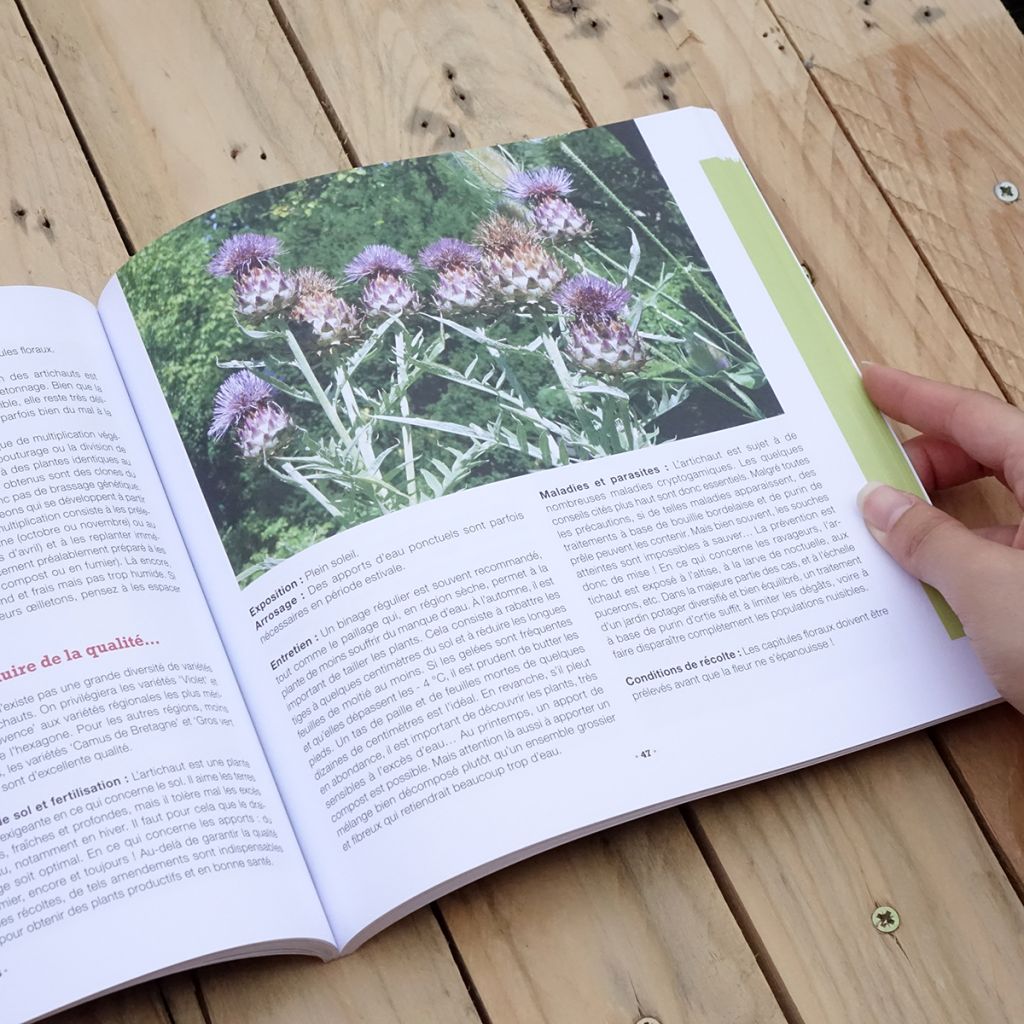 Mon potager riche en saveurs