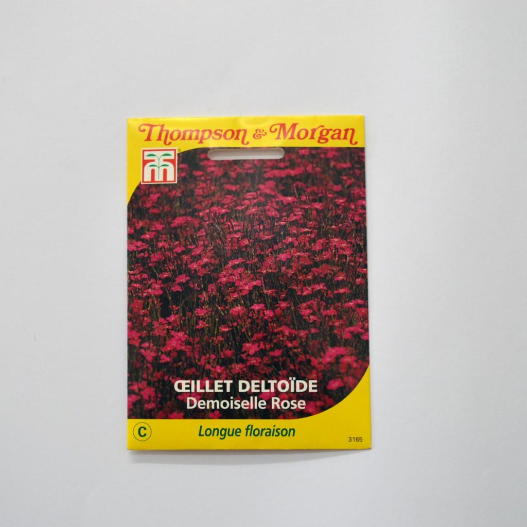 Garten-Nelke Demoiselle Rose (Samen) - Dianthus