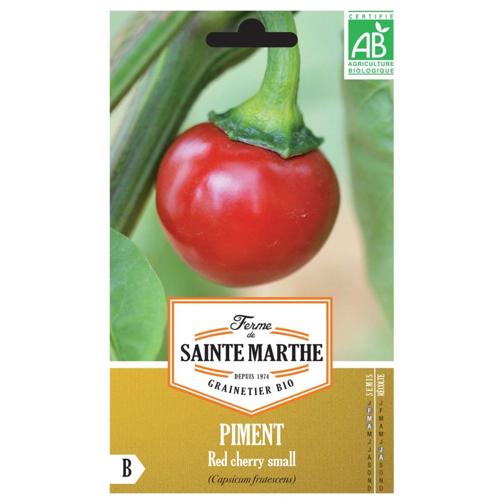 Chili Red Cherry Small Bio - Ferme de Sainte Marthe