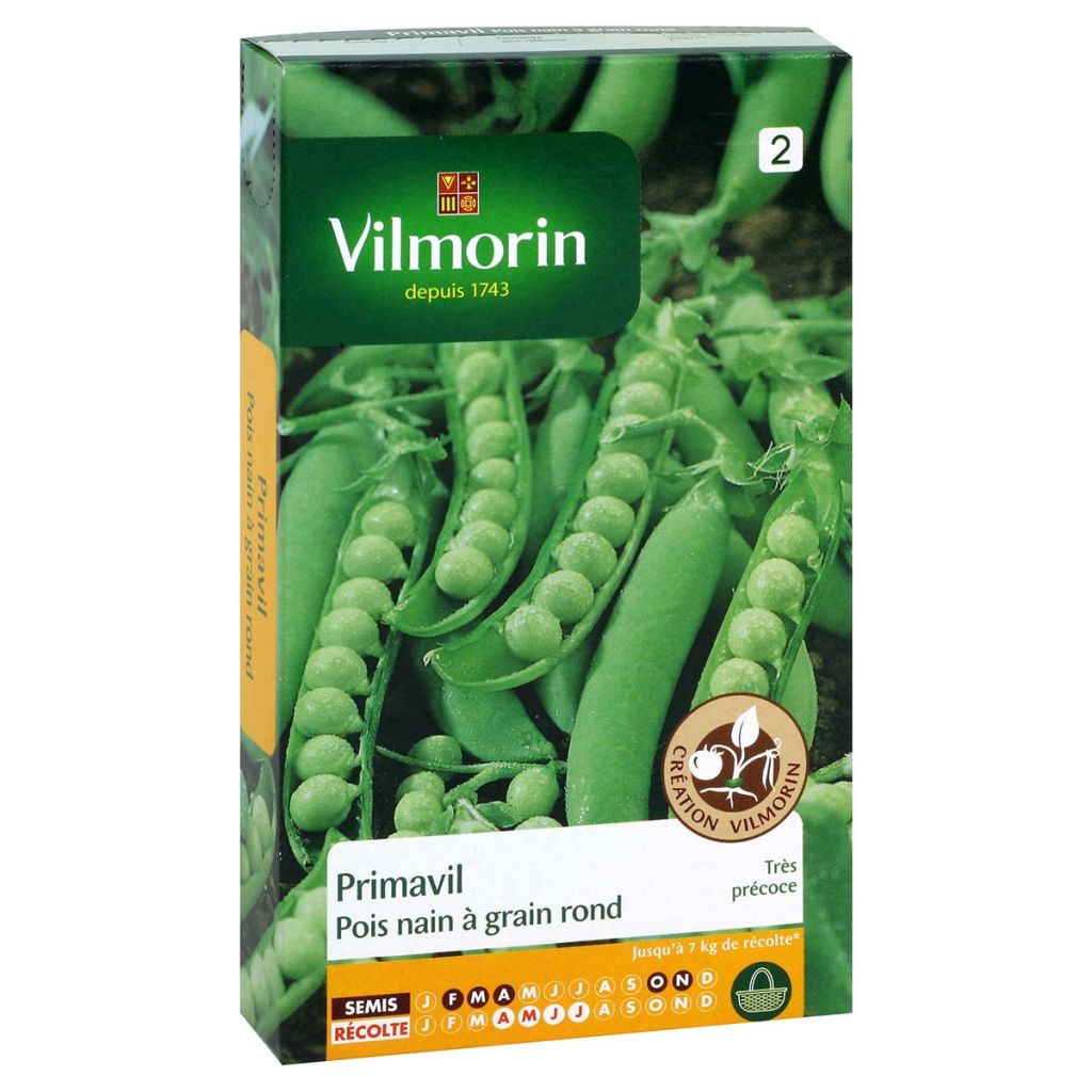 Zwergerbse Primavil - Vilmorin