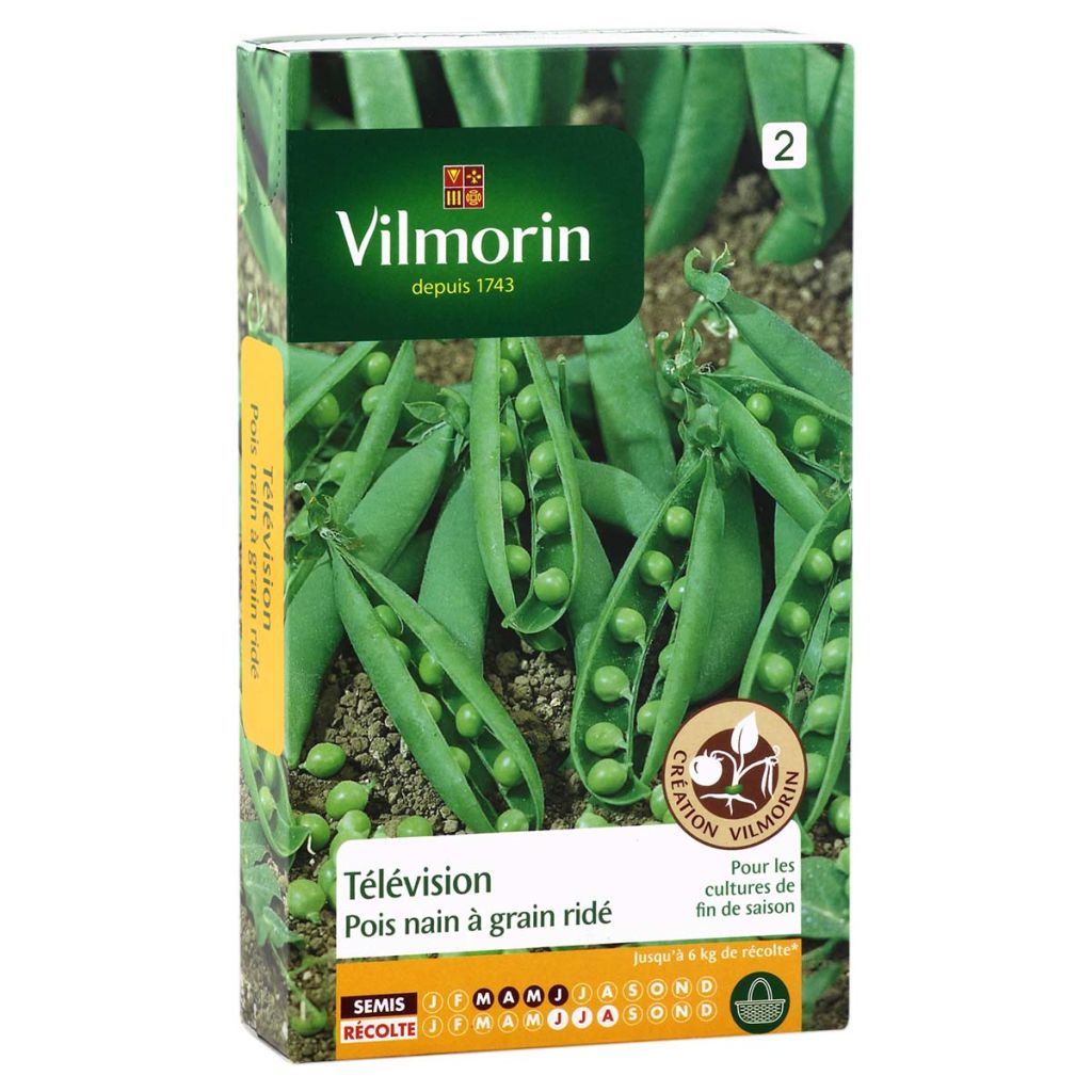 Zwergerbse Télévision - Vilmorin