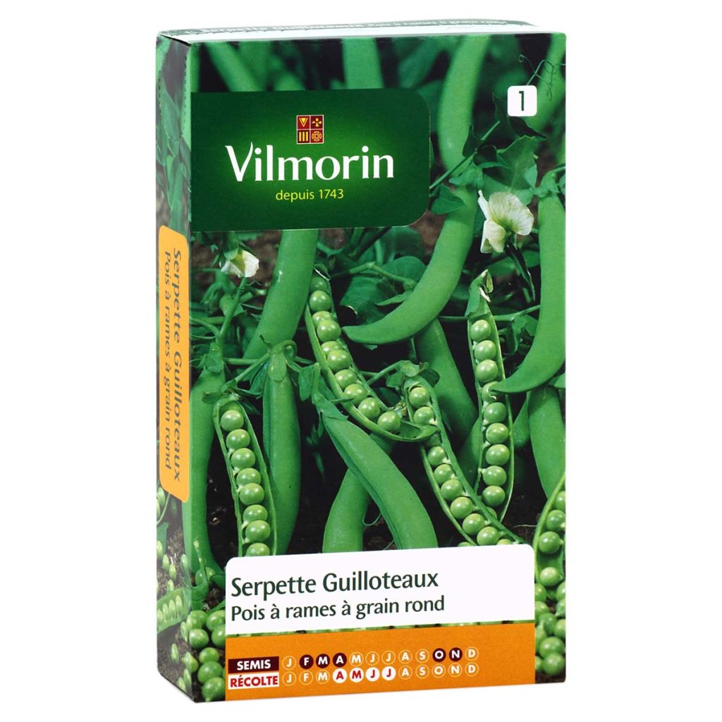 Riesige Erbse Serpette Guilloteaux - Vilmorin