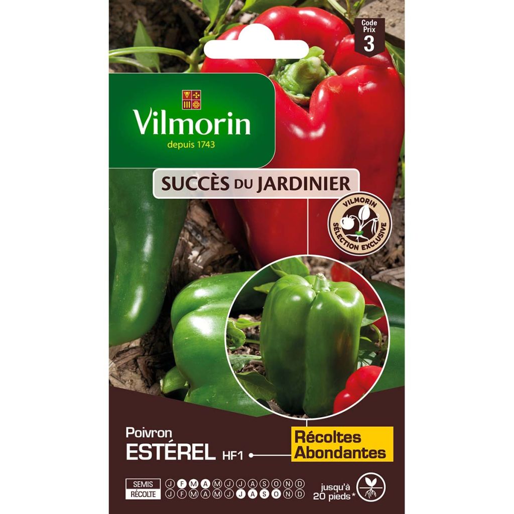 Paprika Estérel F1 - Vilmorin