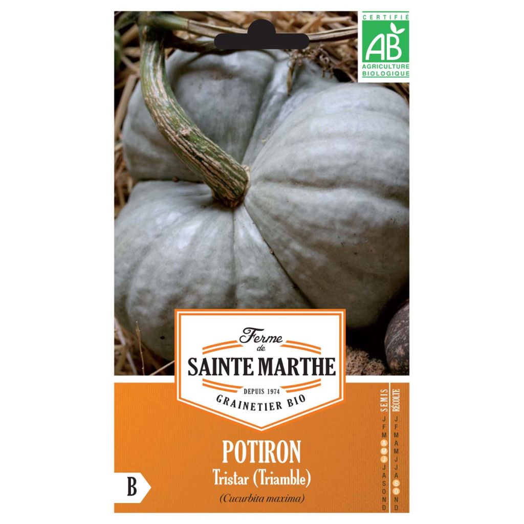 Moschus-Kürbis Triamble Bio - Ferme de Sainte Marthe