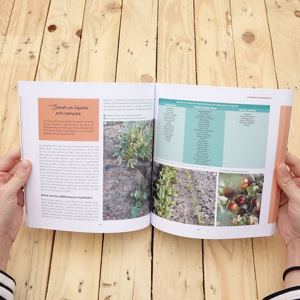 Produire tous ses légumes, toute l'année !