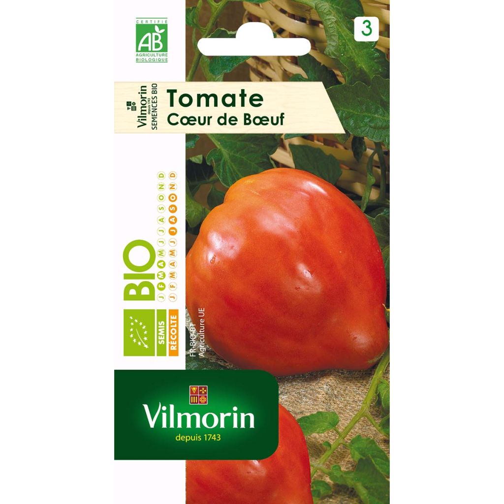 Tomate coeur de boeuf Bio - Vilmorin