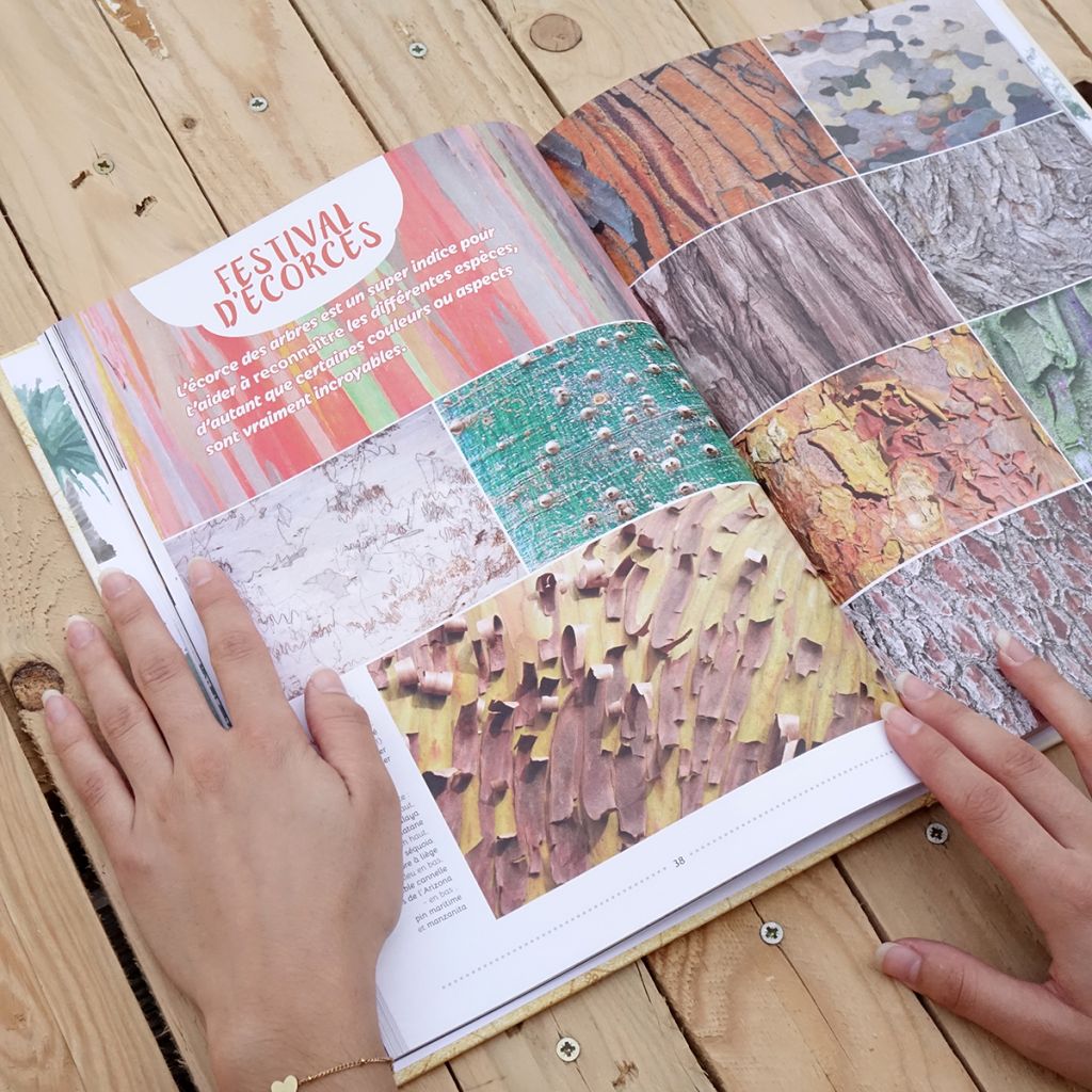 Tout, tout, tout sur les arbres