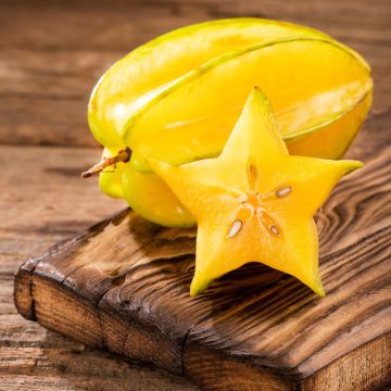 Sternfrucht Arkin - Averrhoa carambola