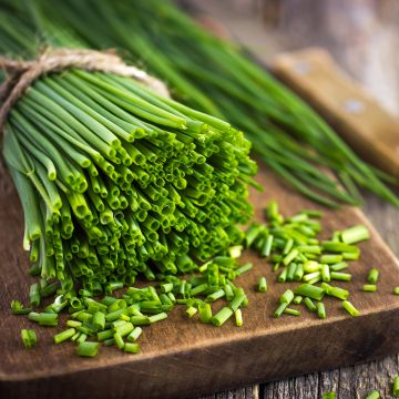 Schnittlauch Appétits