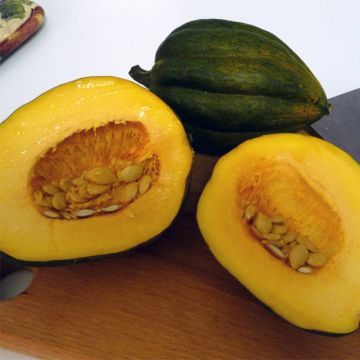 Courge Table King - Roi de la Table