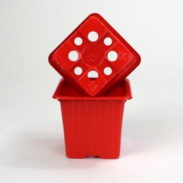 Roten Vermehrungsbecher - Set von 30 Stück