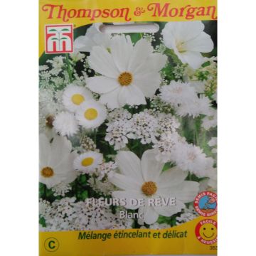 Traumhafte Blumensamen in Weiß