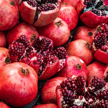 Punica granatum Acco (Samen) - Granatapfelbaum