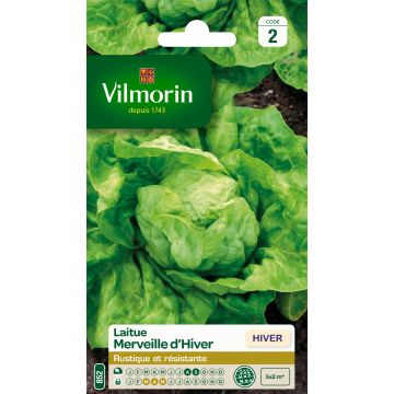 Winterkopfsalat Merveille d'Hiver - Vilmorin