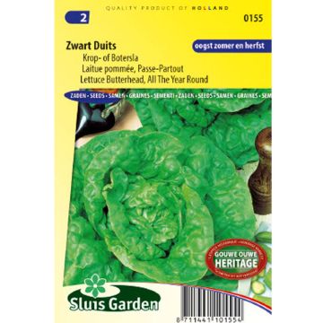 Kopfsalat Passe-Partout