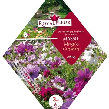 Mischung für Beete Magic Cosmos - Beutel 3m2