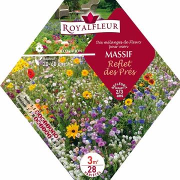 Mischung für Blumenbeet im Wiesenstil - Beutel für 3 m2