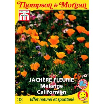 Wildblumensamen - Kalifornische Mischung