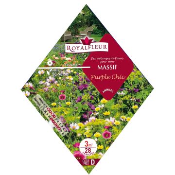 Purple Chic Beetmischung - Beutel 3 m2