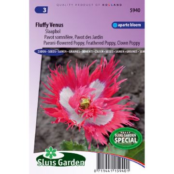 Schlafmohn Fluffy Venus (Samen) - Papaver