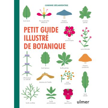Petit guide illustré de botanique