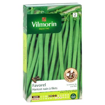 Zwergbohne Favorel - Vilmorin