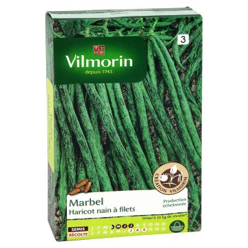 Zwergbohne Marbel - Vilmorin