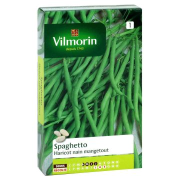 Zwergbohne Spaghetto - Vilmorin