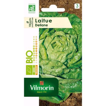 Kopfsalat Deliane Bio - Vilmorin