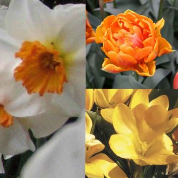 Kupferfarbener Pflanzkübel