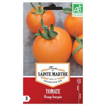 Tomate Orange Bourgoin Bio