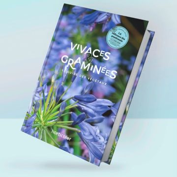 Vivaces & Graminées