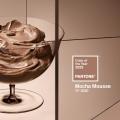 Pantone-Farbe 2025 - Mocha Mousse