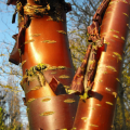 Prunus mit dekorative Rinde