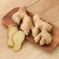Ingwer - Zingiber